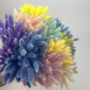 Amazing Quality and Wholesale Price of Lagurus