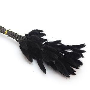 Dried Laragus -black color