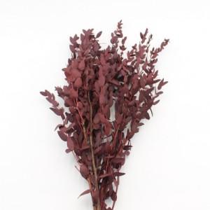 Preserved Eucalyptus Parvifolia Red