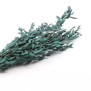 Preserved Eucalyptus Parvifolia blue