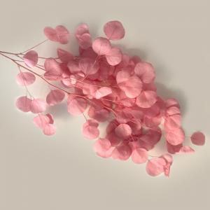 Preserved Eucalyptus Populus Pale-Pink