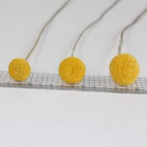 dried billy button