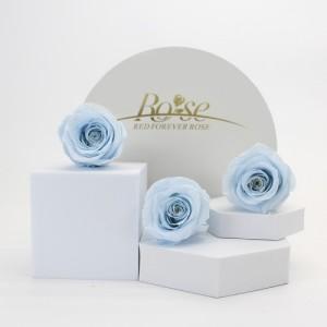 preserved rose blue