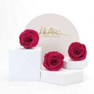 preserved rose hot pink