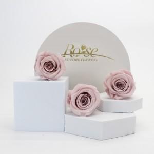 preserved rose pale pink