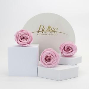 preserved rose pink