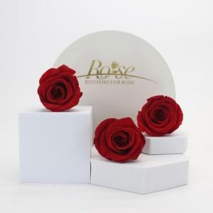 preserved rose red