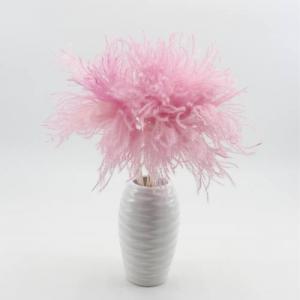 reed canary grass lilac