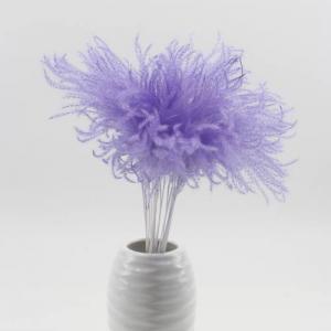 reed canary grass purple