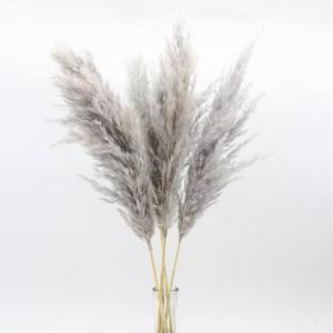 reed small grey