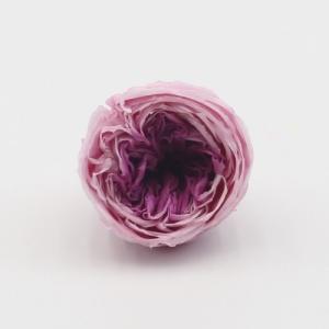 roses factory supply